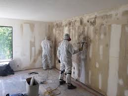 Best Emergency Mold Remediation  in Loving, NM